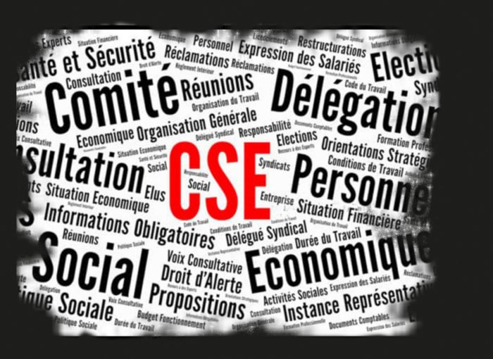 comite social economique cse